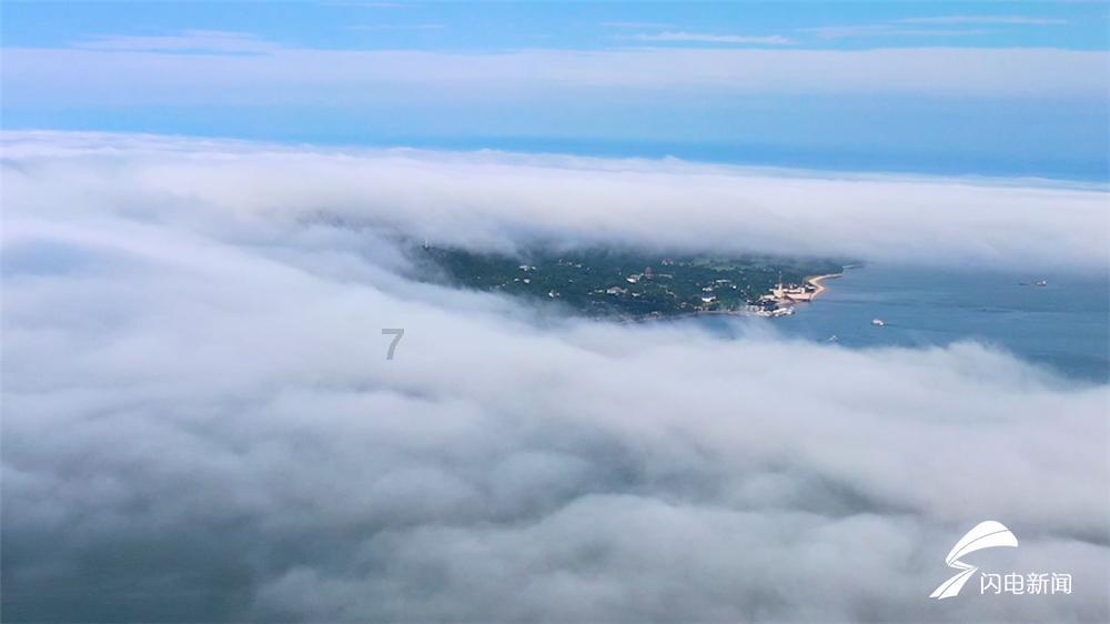 不用破坏“保护物种”!中国科学家“破译”罕见抗癌药物合成技术
