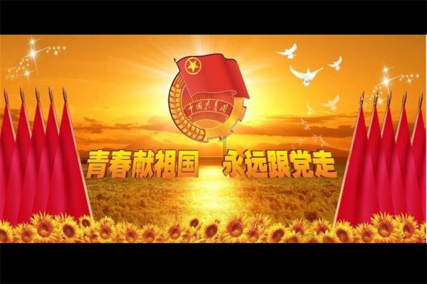 植物大战僵尸20